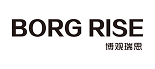 BORG RISE